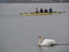 Anrudern 2012