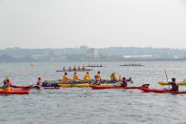 Benefiz-Regatta "Rudern gegen Krebs" am 6. Juni 2015 in Kiel