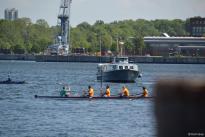 Benefiz-Regatta "Rudern gegen Krebs" am 6. Juni 2015 in Kiel
