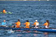 Benefizregatta "Rudern gegen Krebs" am 24. August 2019 in Kiel