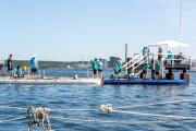 Benefizregatta "Rudern gegen Krebs" am 8. Juli 2023 in Kiel
