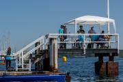 Benefizregatta "Rudern gegen Krebs" am 8. Juli 2023 in Kiel