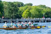 Benefizregatta "Rudern gegen Krebs" am 8. Juli 2023 in Kiel