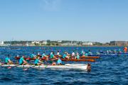 Benefizregatta "Rudern gegen Krebs" am 8. Juli 2023 in Kiel