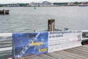 Benefizregatta "Rudern gegen Krebs" am 13. Juli 2024 in Kiel