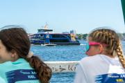 Benefizregatta "Rudern gegen Krebs" am 19. Juli 2025 in Kiel