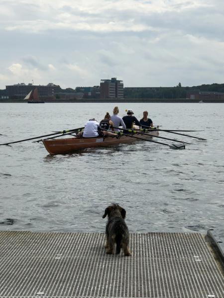Interne Regatta Rudergesellschaft Germania Kiel am 7. Aug. 2021