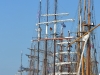 Rudern Donnerstagmorgen zur Kieler Woche am 21. Juni 2012
