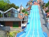 Rudern Donnerstagmorgen zur Kieler Woche am 21. Juni 2012