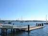 Rudern Donnerstagmorgen zur Kieler Woche am 21. Juni 2012