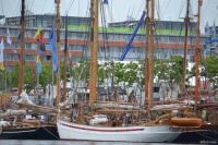 Rudern Donnerstagmorgen zur Kieler Woche am 25. Juni 2015
