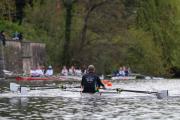 Langstrecken- und Sprintregatta Ruderverein Teichwiesen Hamburg am 19. April 2026