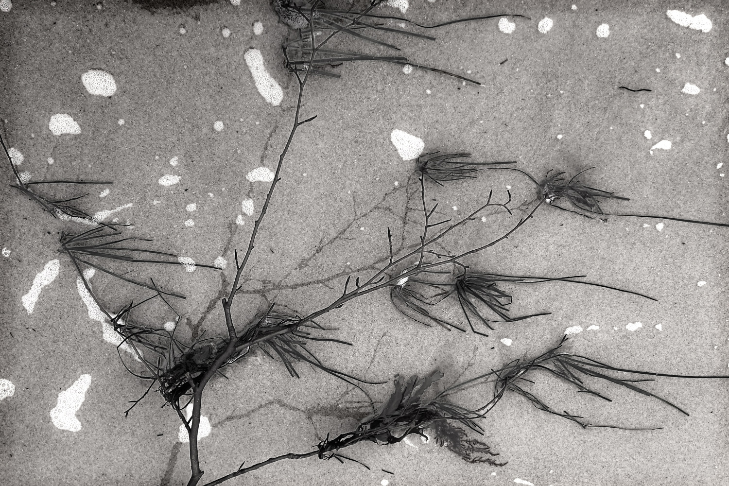 Beitragstiteltestversuch